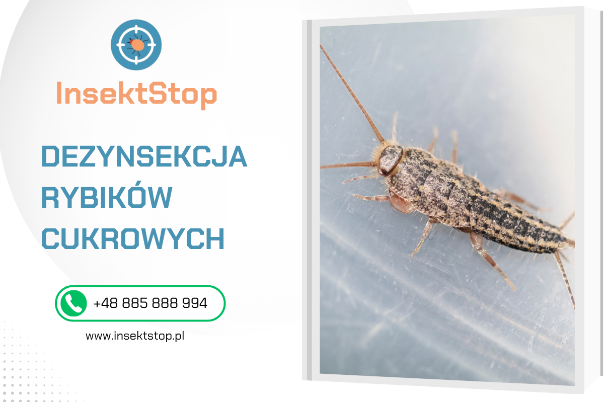 Dezynsekcja rybików w warszawie